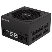 Power Supply: GIGABYTE P750GM Devices and Setup