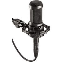 Microphone: Audio-Technica AT2035 Devices and Setup