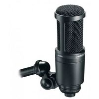 Microphone: Audio-Technica 2020 Devices and Setup