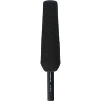 Microphone: Sennheiser MKH 416-P48U3 Devices and Setup